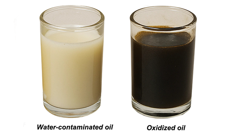 Water-contaminated milky gear oil and oxidized dark gear oil in clear cups.
