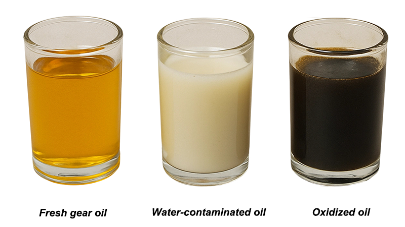 A side-by-side photo showing fresh, golden gear oil next to milky, water-contaminated oil and dark, oxidized oil.