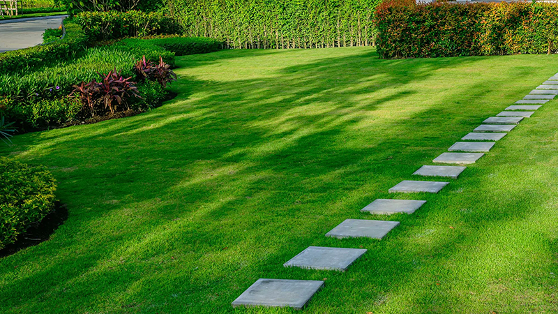 Residential Lawn Care Applications